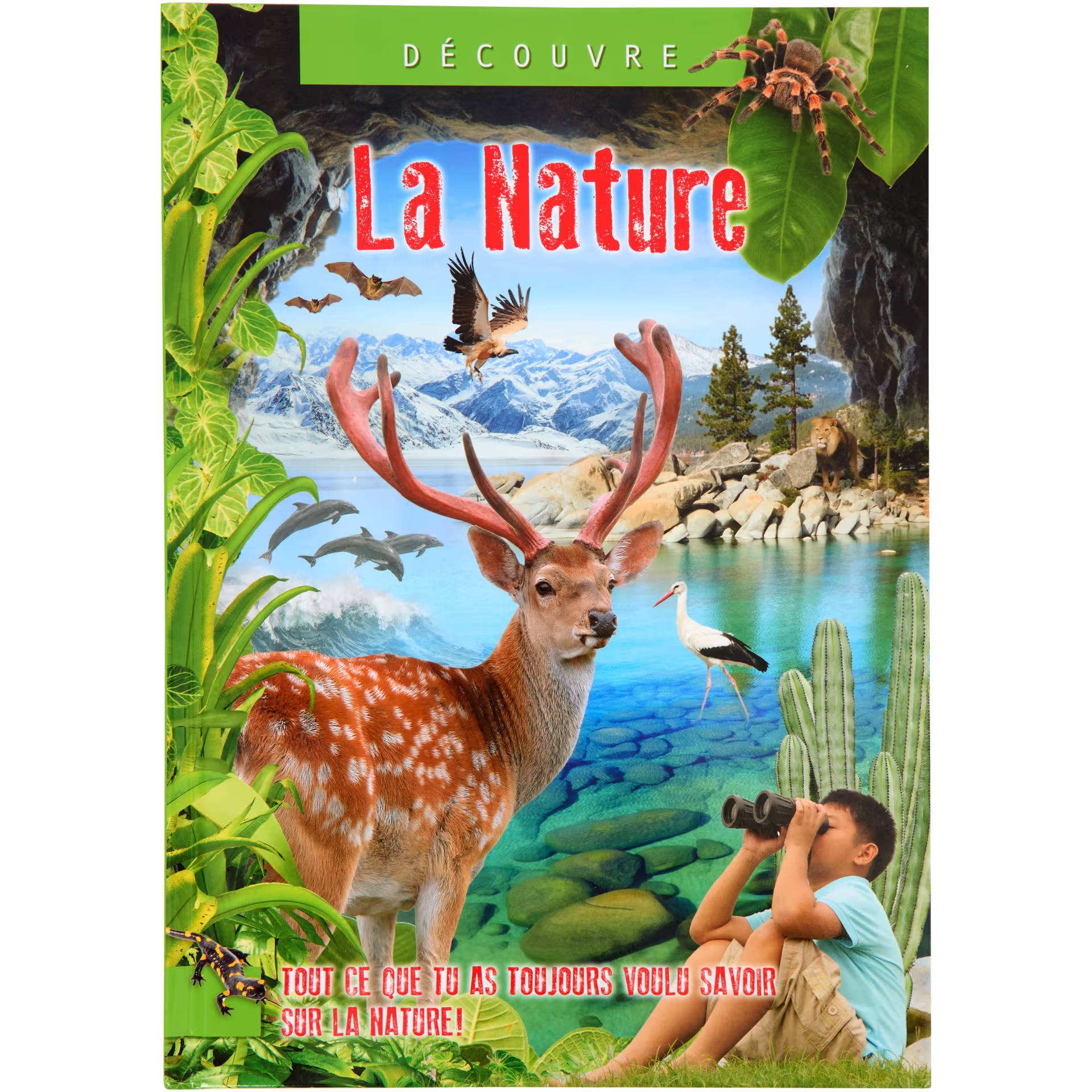 Livre Découvre Divers modèles