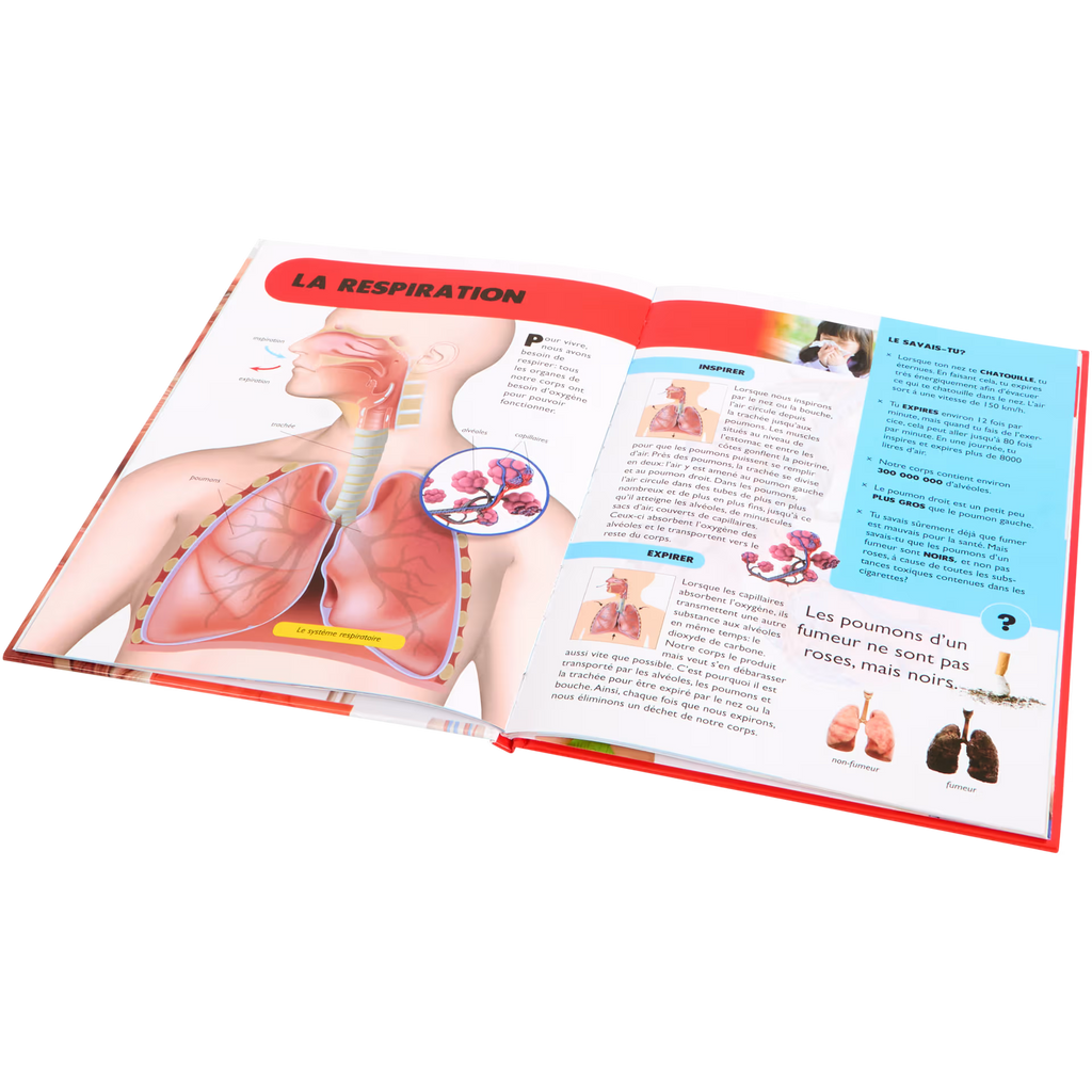 Livre Découvre Divers modèles