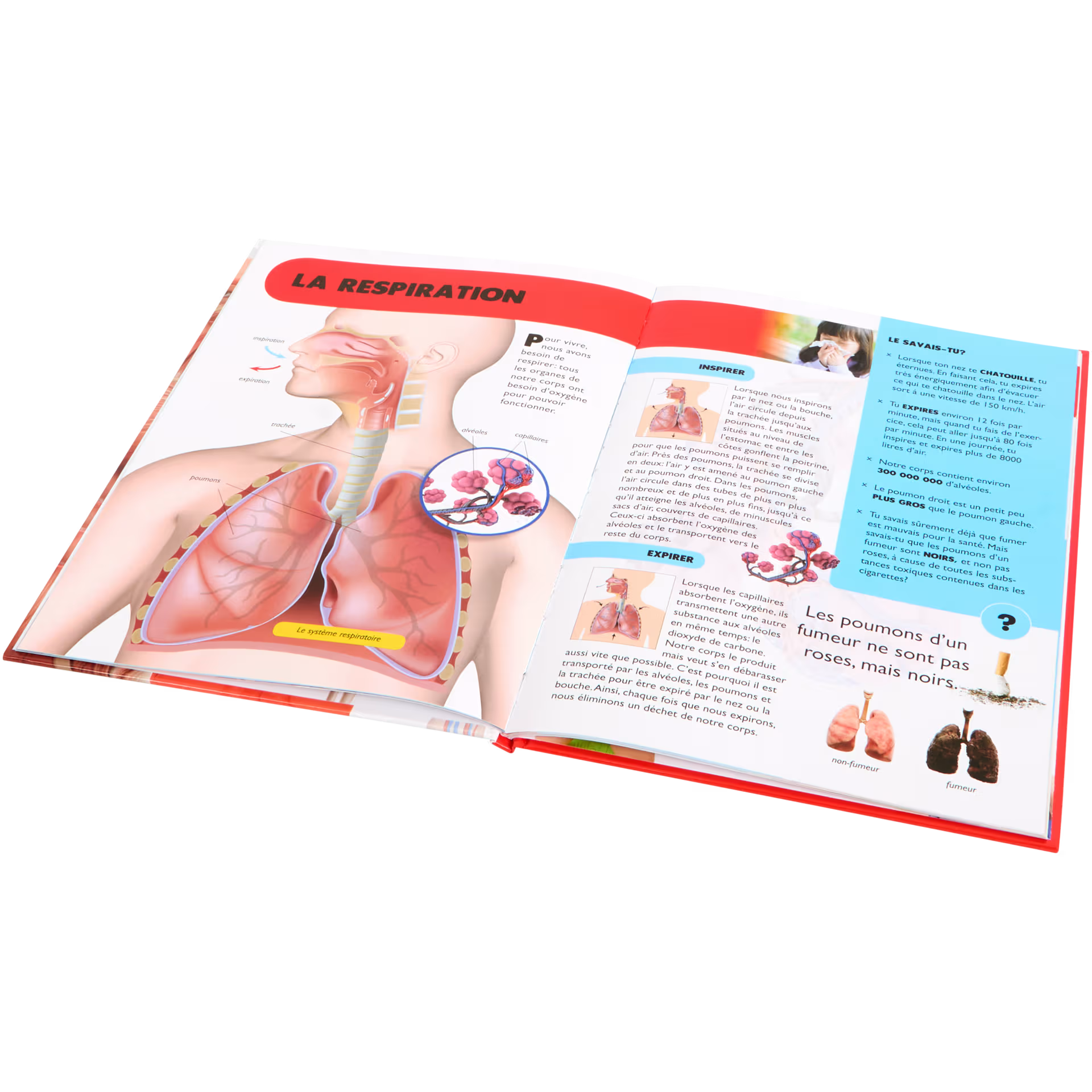 Livre Découvre Divers modèles