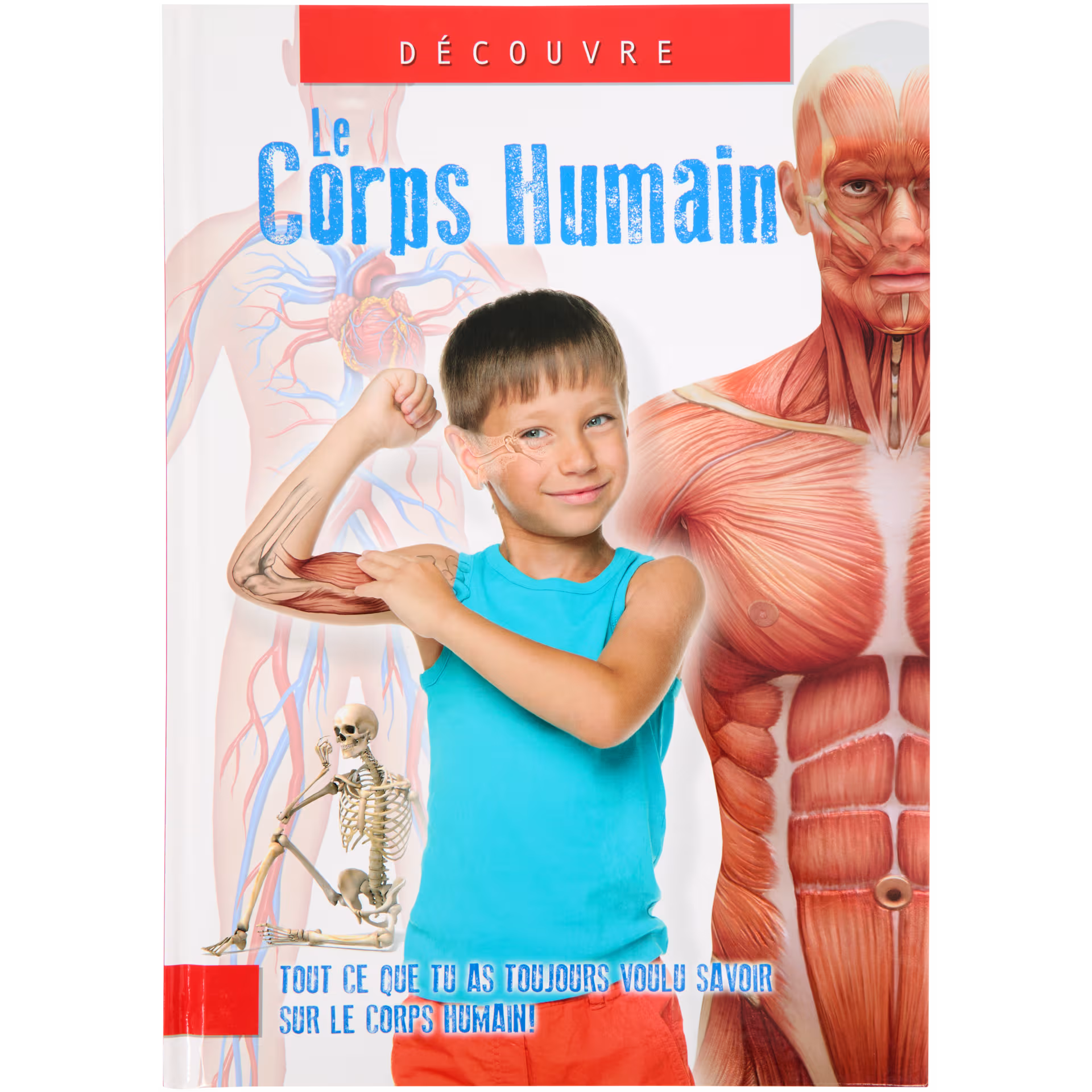 Livre Découvre Divers modèles