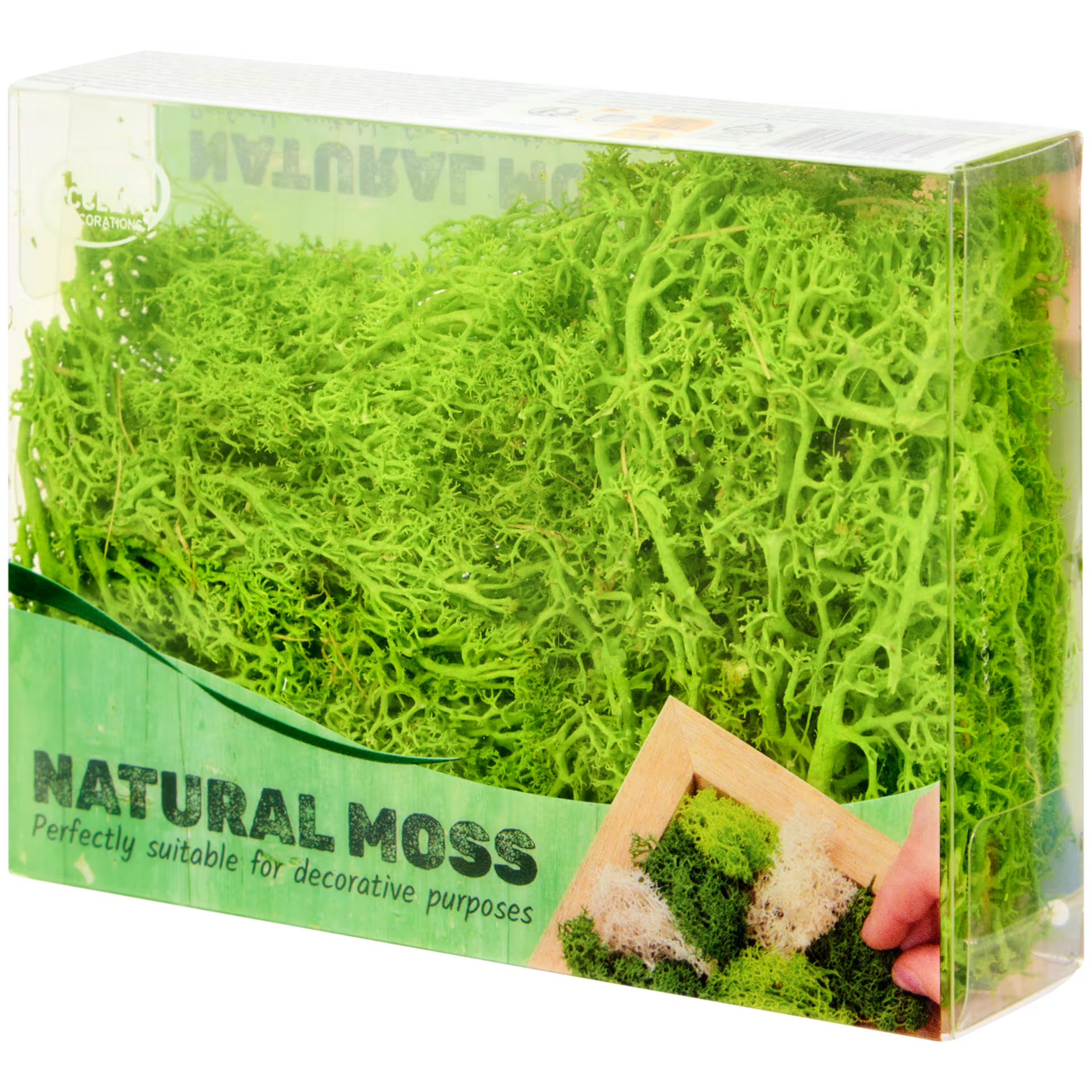 Mousse décorative Home Accents Divers modèles