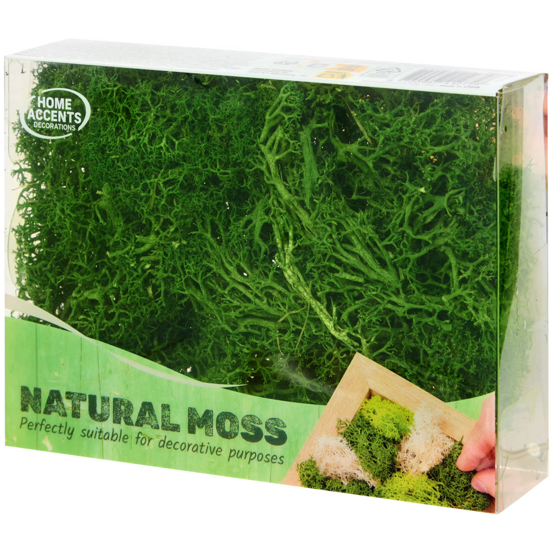 Mousse décorative Home Accents Divers modèles