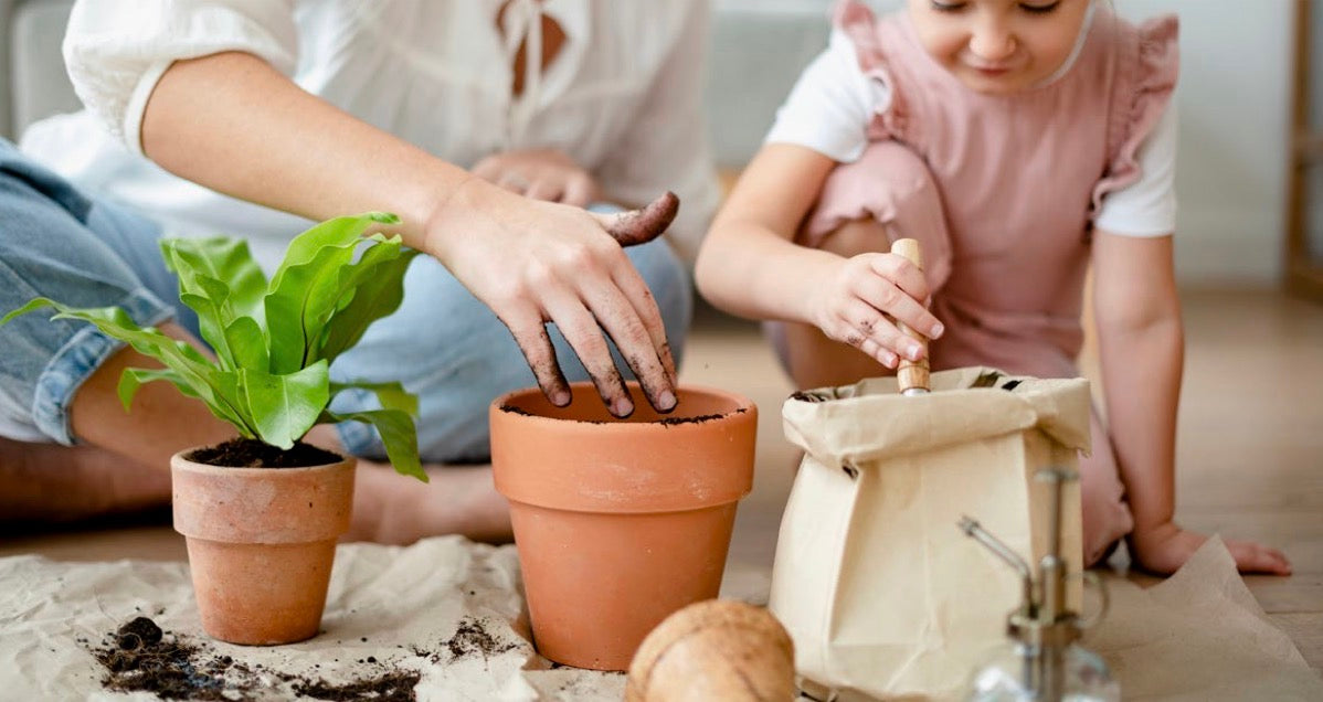 Terreau Fibre de Coco Premium avec fertilisons (25L) _ Importé de France